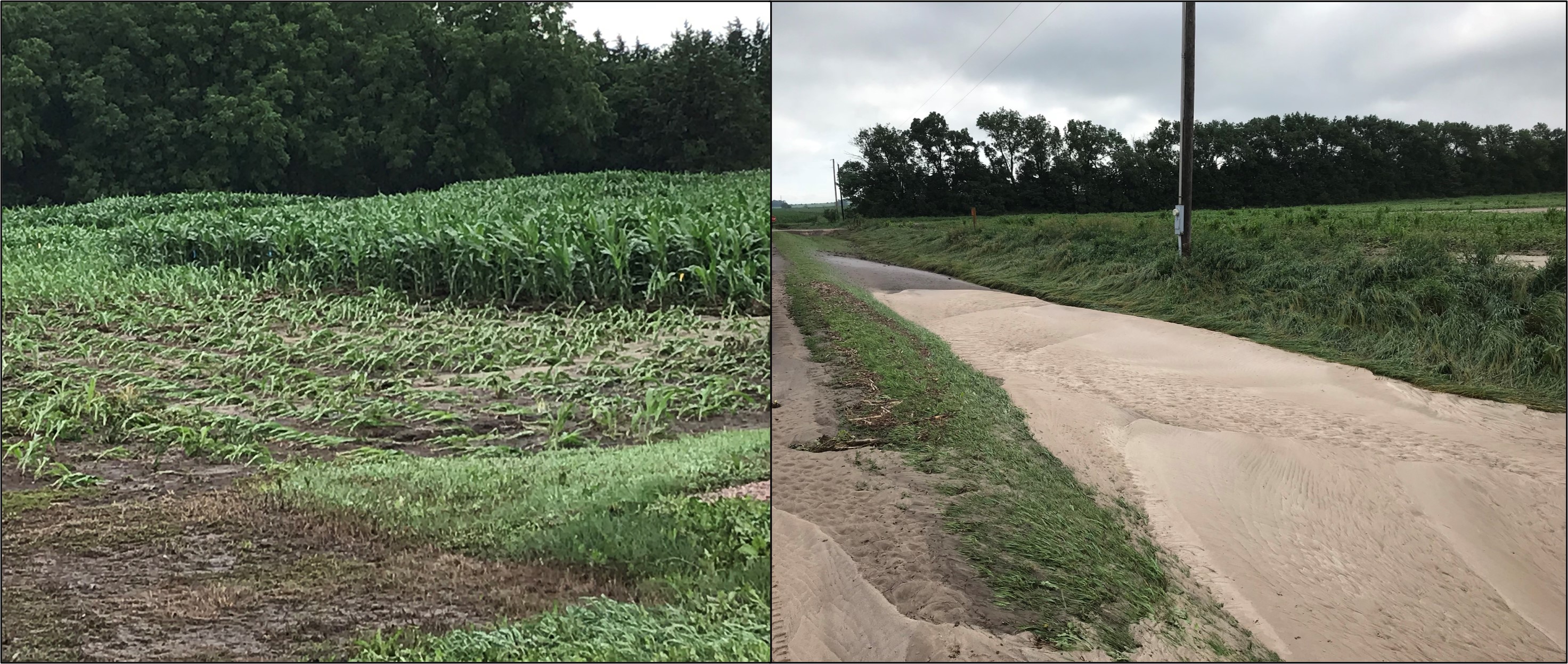 left photo of corn field flooded, right drainage ditch filled with eroded soil from adjacent field